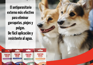 Elimina por completo los problemas de garrapatas, piojos y pulgas!