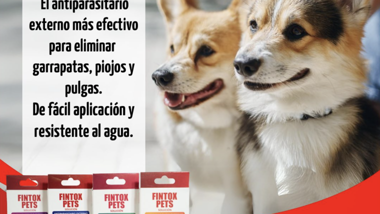 Elimina por completo los problemas de garrapatas, piojos y pulgas!