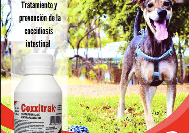 Coccidiosis intestinal en caninos, felinos, porcinos, ovinos, caprinos y conejos.