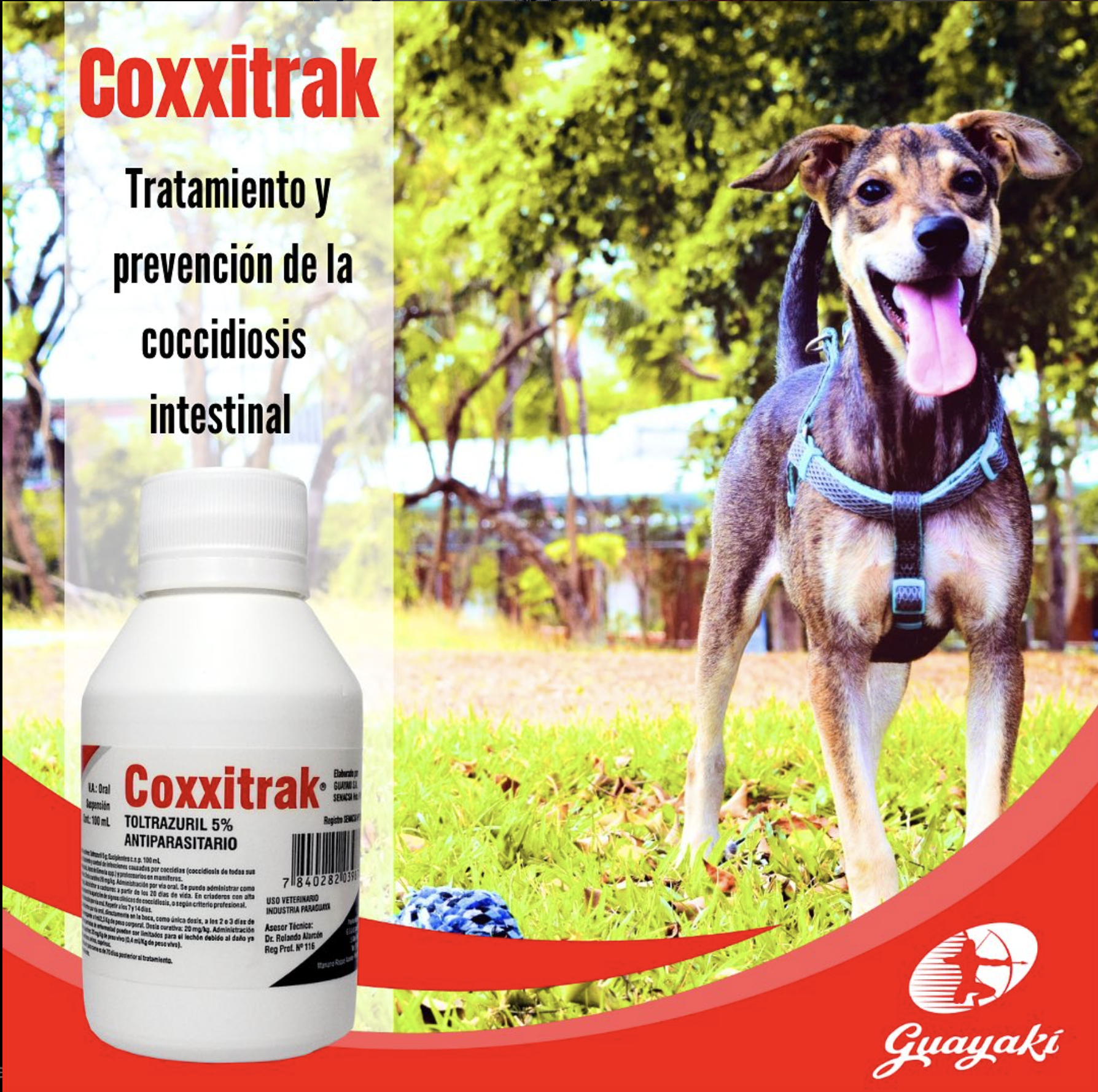 Coccidiosis intestinal en caninos, felinos, porcinos, ovinos, caprinos y conejos.