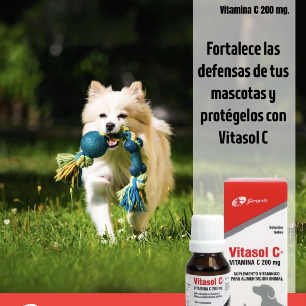 Vitasol C