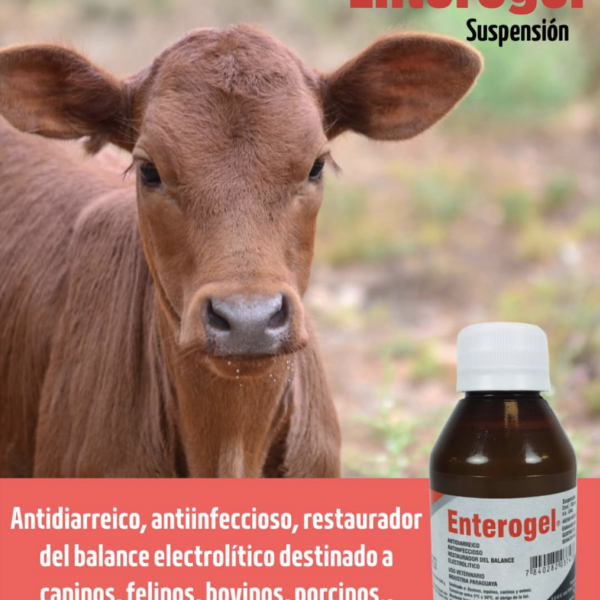 Enterogel Suspensión